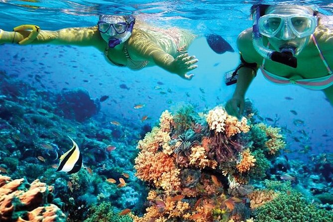 Catamaran Sailing to Isla Mujeres with Snorkeling, Lunch & Open Bar included - The spinnaker ride and open bar