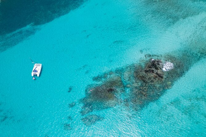 Catamaran Sailing Tour or Whale Watching at Boa Vista - Key points to know before booking