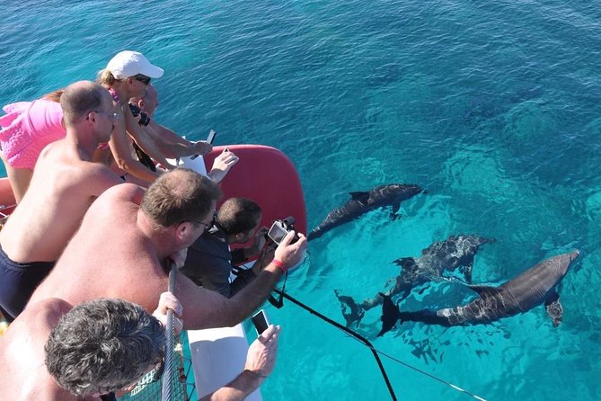 Catamaran Sailing Tour - The first snorkel stop and Red Sea fish