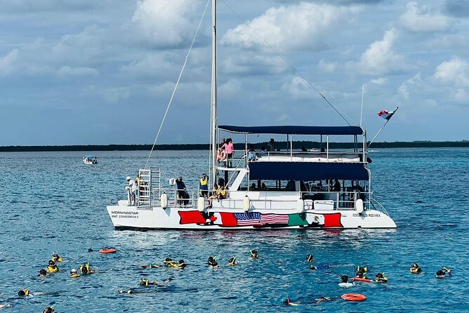 Catamaran Sky Tour in Cozumel - Colombia Reef and its colorful fish