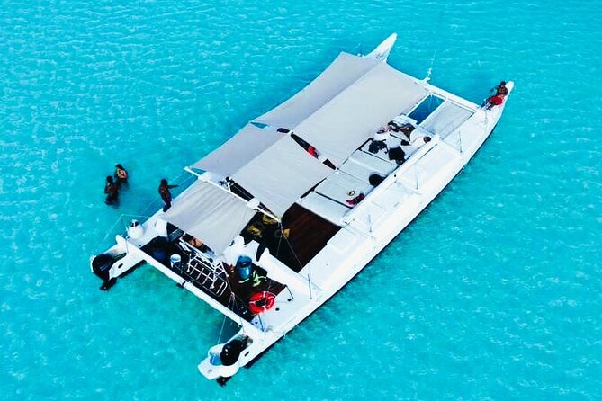 Catamaran Snorkel Adventure to El Cielo and The Money Bar Beach - Wildlife, reef manners, and sun rules