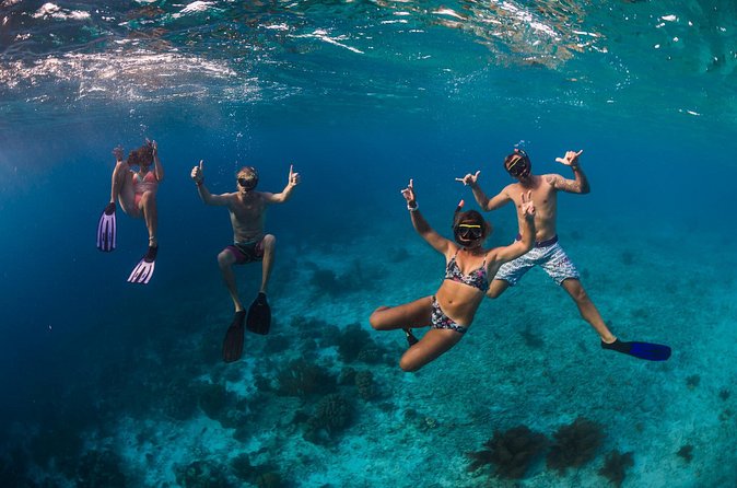Catamaran Snorkel & BBQ Sail (cruise friendly) - Who will enjoy this catamaran most