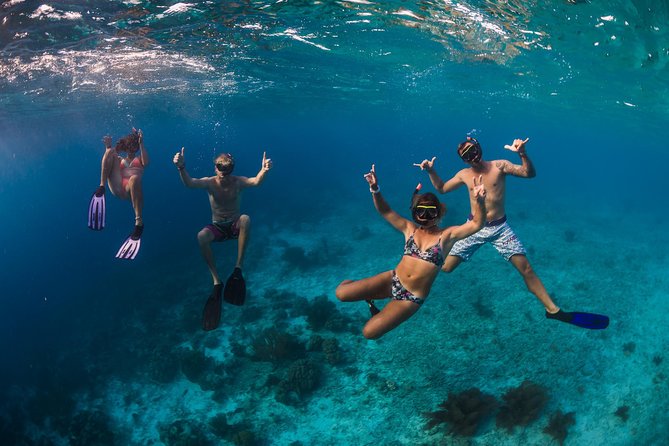 Catamaran Snorkel & BBQ Sail (cruise friendly) - Practical tips for a smoother day