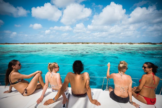 Catamaran Snorkel & BBQ Sail (cruise friendly) - Boarding the catamaran at Nautico Marina