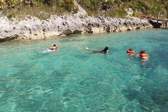 Catamaran Snorkel & Beach Day with Turtles - Green Cay Sanctuary and the turtle stop