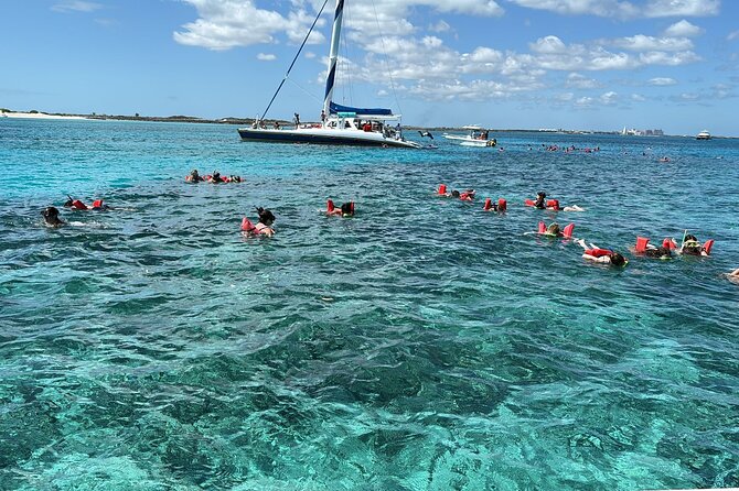 Catamaran Snorkel & Beach Day with Turtles - Who will get the most from this $110 outing?