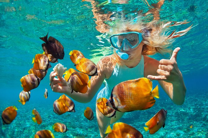 Catamaran Snorkeling All-Inclusive Day-Trip - Key points before you book