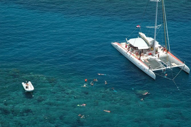 Catamaran Snorkeling All-Inclusive Day-Trip - A full day from Puerto Plata to Sosua Bay