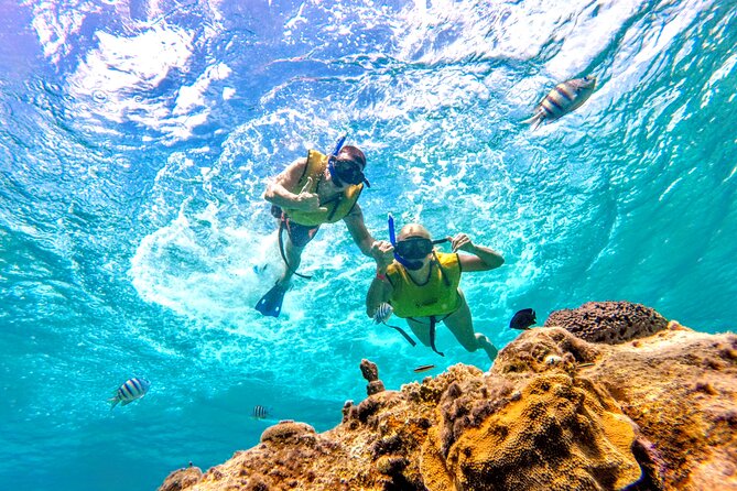 Catamaran Snorkeling to El Cielo and The Money Bar Beach Club - Drinks, ceviche, and the rhythm of the boat
