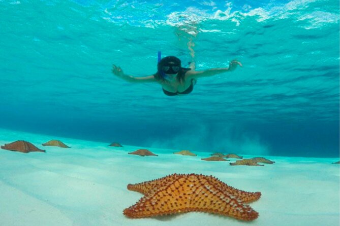 Catamaran Snorkeling to El Cielo and The Money Bar Beach Club - Cruise passengers need a careful time check