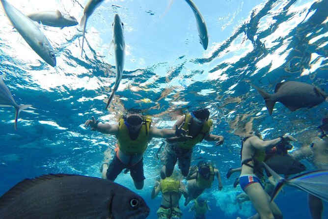 Catamaran Snorkeling to El Cielo and The Money Bar Beach Club - Booking, weather, and cancellation basics