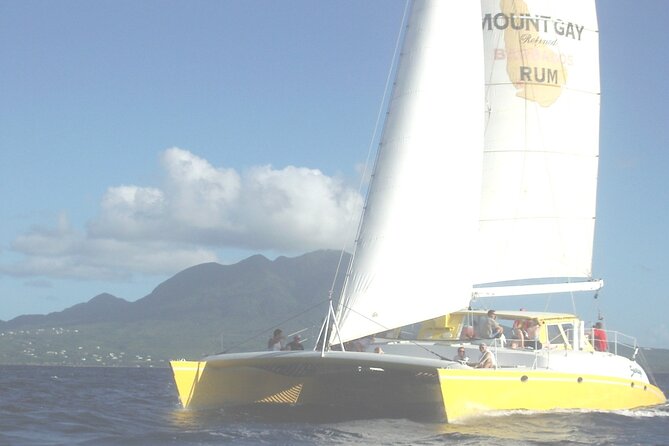 Catamaran Sunset and Cocktail Cruise - Who will enjoy this cruise most?