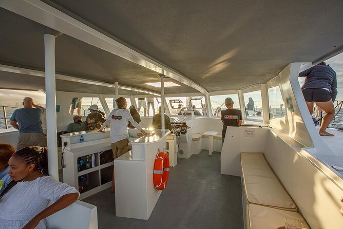 Catamaran Sunset Champagne Cruise Cape Town - Timing, weather, and what to bring