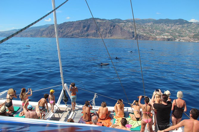Catamaran Sunset Cruise from Funchal - The return to Funchal after dark