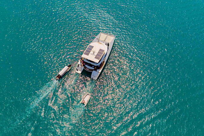 Catamaran Sunset Cruise in Stone Town - Snorkeling equipment, swimming, and what is not guaranteed