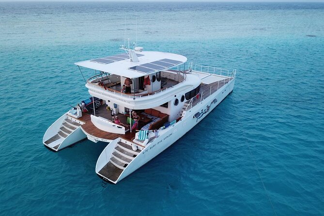 Catamaran Sunset Cruise in Stone Town - Who should book this cruise?