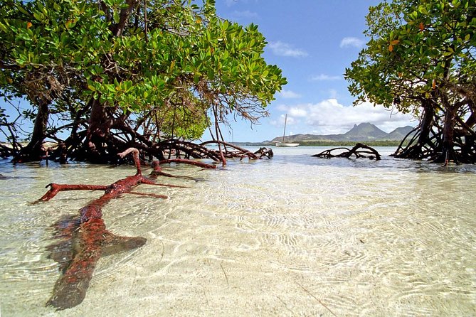 Catamaran to Ile aux Cerf with Parasailing, Tube Riding & Lunch - The catamaran ride and the Mauritian mood