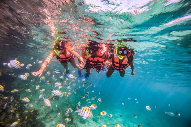 CATAMARAN to Isla Mujeres, Snorkel & Beach Club by Xcaret - Snorkeling El Meco Reef in shallow Caribbean water