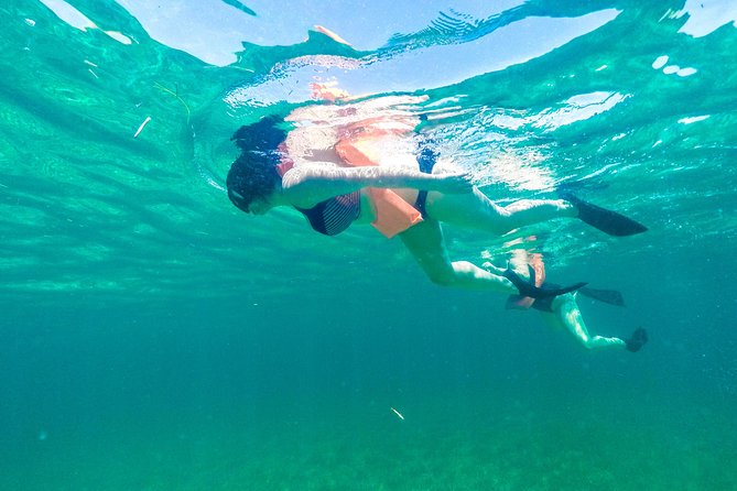 Catamaran to Mujeres Island with Open Bar on Board from Cancun - The Reef Snorkeling Stop