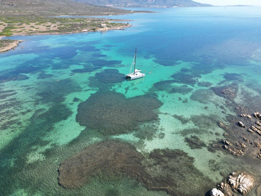 Catamaran tour Asinara island national park Buriana Charter - Key details before you book