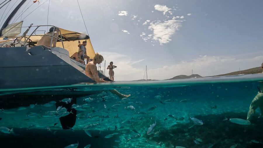 Catamaran tour Asinara island national park Buriana Charter - Lunch with mussels, seafood pasta, and wine