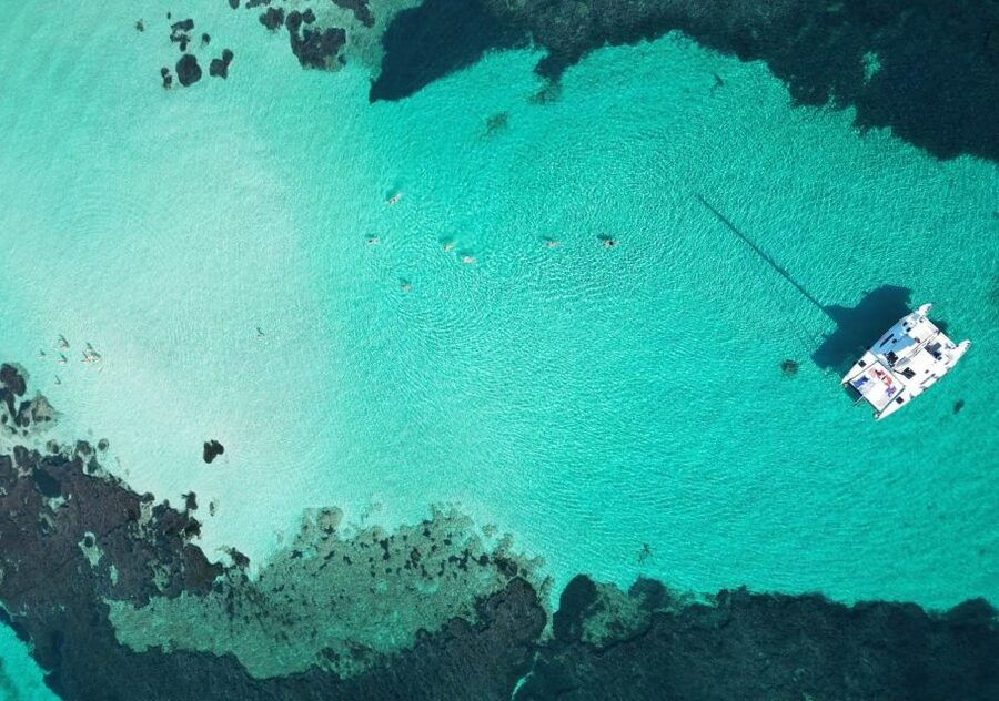 Catamaran tour Asinara island national park Buriana Charter - Why a 12-person catamaran changes the day