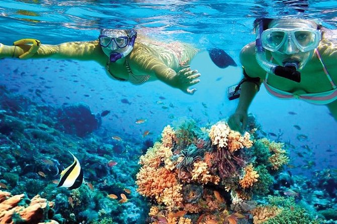 Catamaran Tour from Cancun to Isla Mujeres - Communication, service, and the English promise