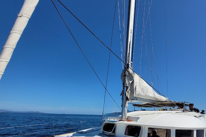 Catamaran Tour from La Caletta near Olbia – Experience Sardinia’s Coast - Food, drinks, and the feel aboard Catamaran Discovery