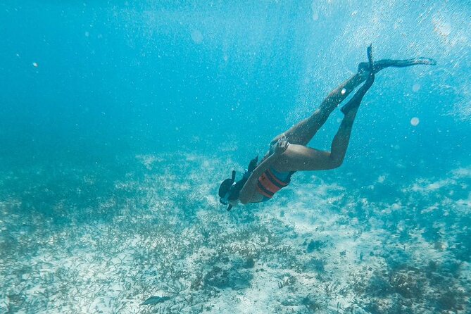 Catamaran Tour to Isla Mujeres Cancun - The Reef Snorkeling Stop