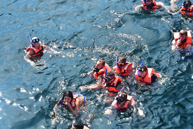 Catamaran Tour to the Arches, Playa las Animas, Snorkeling and more - Should you book it?