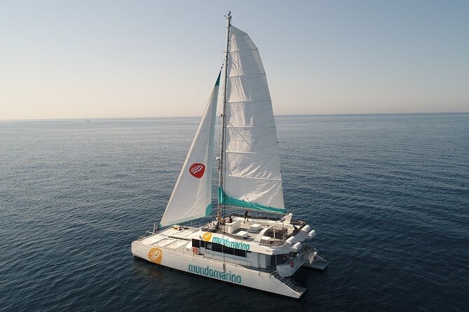 Catamaran tour with swimming stop in Malaga - Key points before you book