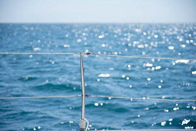 Catamaran tour with swimming stop in Malaga - Who will enjoy this Malaga boat ride?