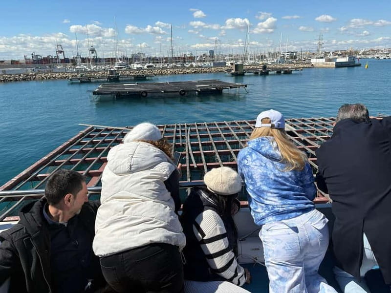 Catamaran trip and visit to the mussel nurseries with a snack - What this Boramar outing really offers