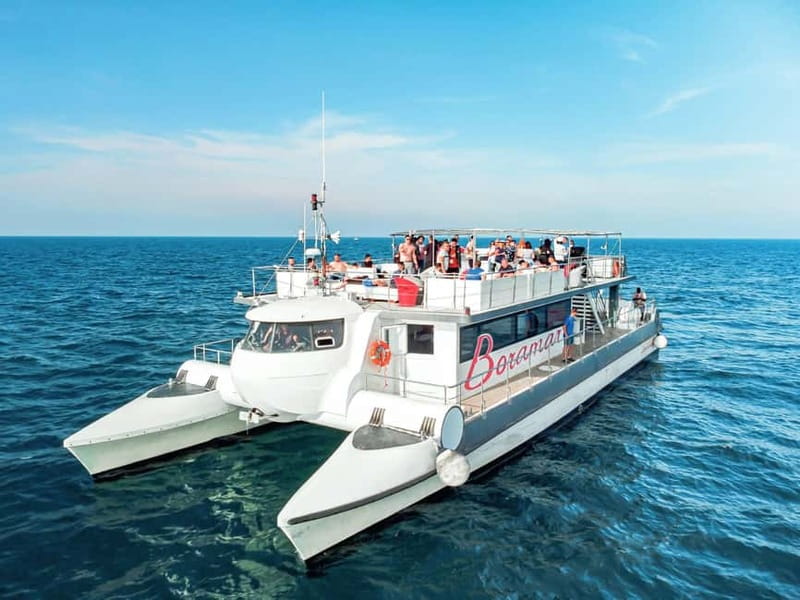 Catamaran trip and visit to the mussel nurseries with a snack - Who should book this experience?