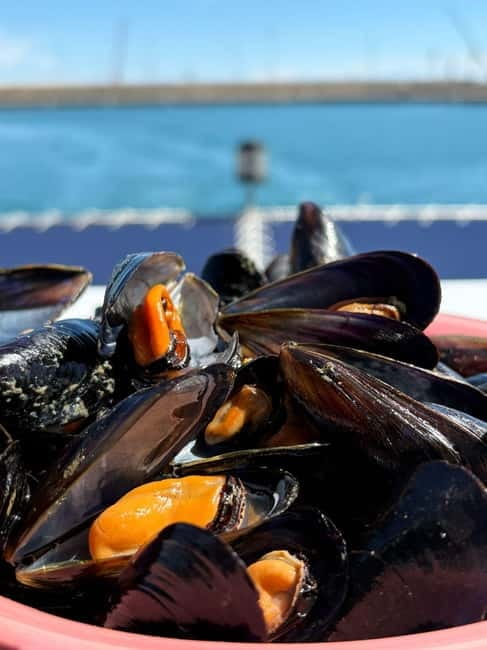 Catamaran trip and visit to the mussel nurseries with a snack - Learning how Valencian clóchinas are cultivated