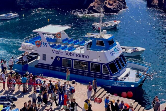 Catamaran trip to Berlengas Island + visit to the caves - Who Will Enjoy This Trip Most