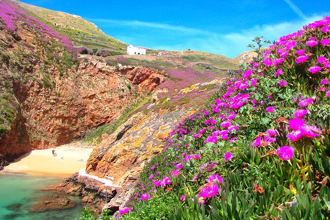 Catamaran trip to Berlengas Island + visit to the caves - Practical Planning for a Better Day