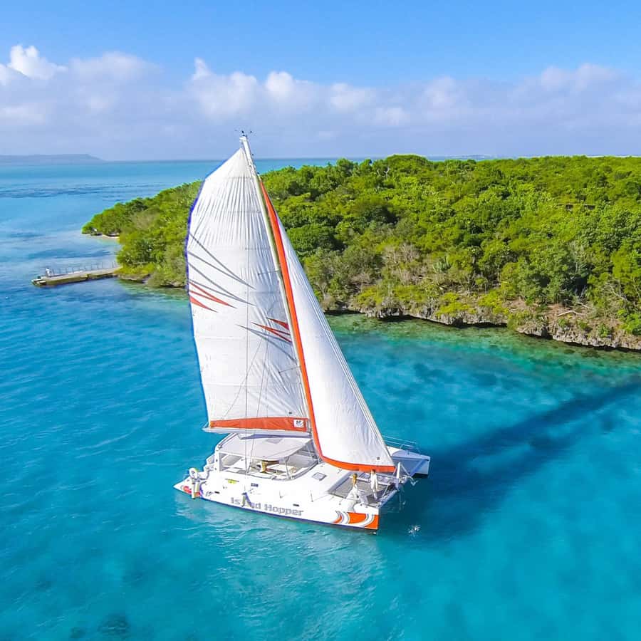 Catamaran trip to Ile Aux Cerfs With Two Way Transportation - The waterfall stop adds variety