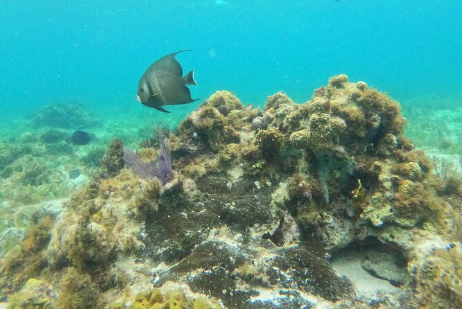 Catamaran with Snorkeling and North Beach, Isla Mujeres - Three hours to shape your own Isla Mujeres visit