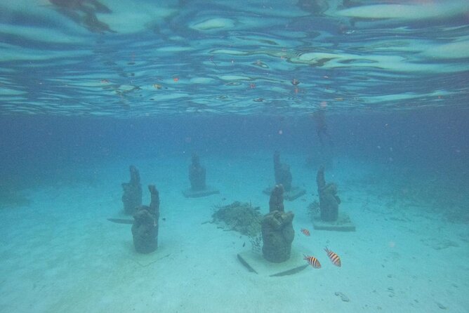 Catamaran with Snorkeling and North Beach, Isla Mujeres - Who will enjoy this catamaran day