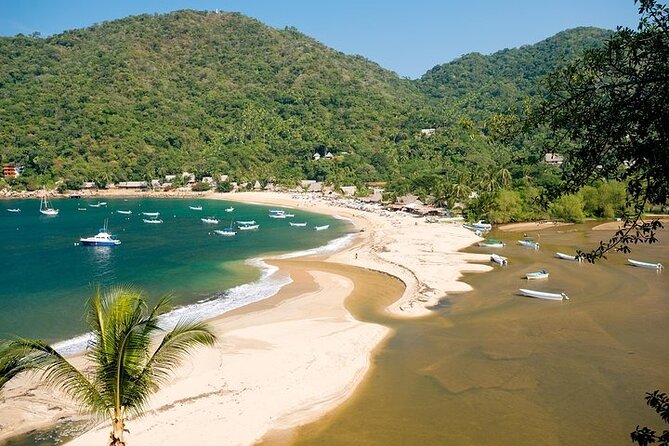 Catamaran Yelapa Beach Tour with Snorkeling, Food and Open Bar - Six things to know before booking