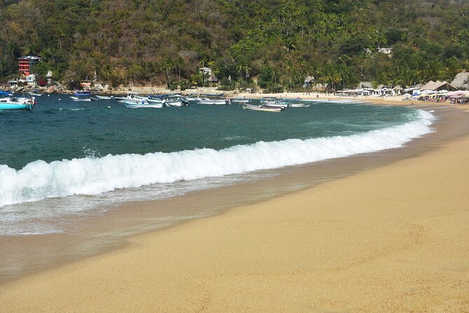 Catamaran Yelapa Beach Tour with Snorkeling, Food and Open Bar - The Horsetail waterfall walk, horse, or ATV