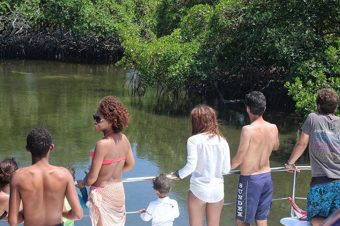 Cayo Arena Catamaran Cruise from Puerto Plata with Lunch - Who will enjoy this day most