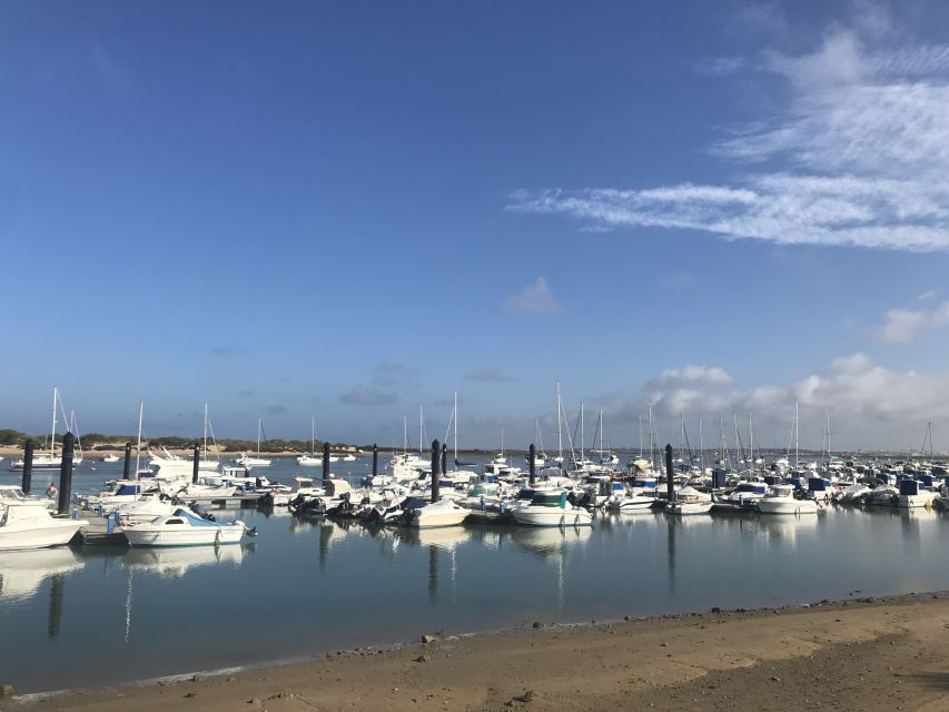 Chiclana de la Fra: Coast of Sancti Petri Catamaran Tour - Key points at a glance