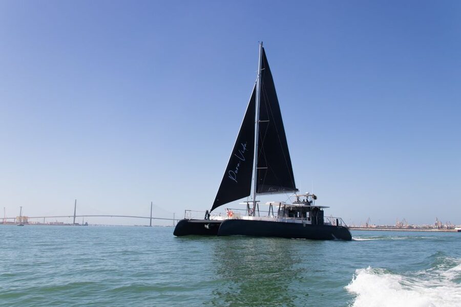 Chiclana de la Fra: Coast of Sancti Petri Catamaran Tour - Sancti Petri Castle and its unusual island setting