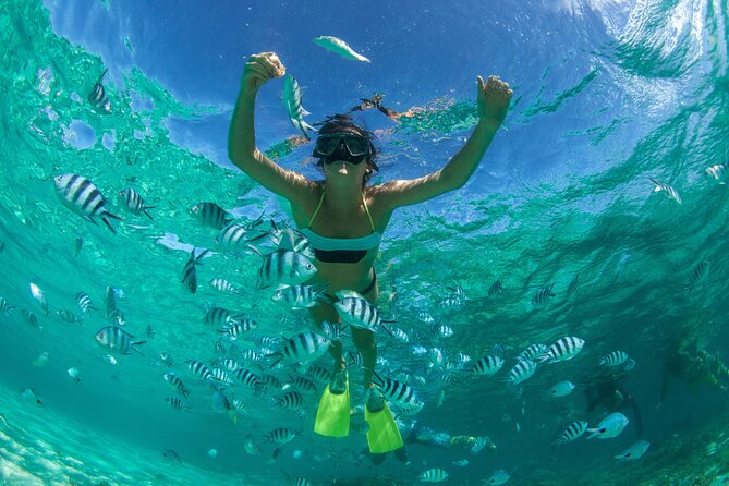 Combo Tulum- Coba & Cenotes + Isla Mujeres Catamaran - Who will enjoy this combo most