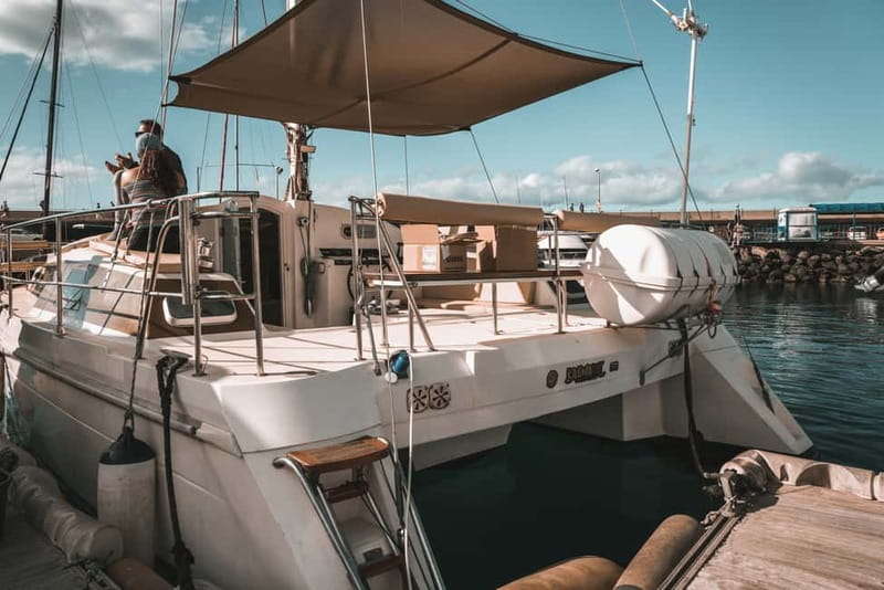 Costa Adeje: Private Catamaran Tour 22 Persons Max - What the $952 group price really means