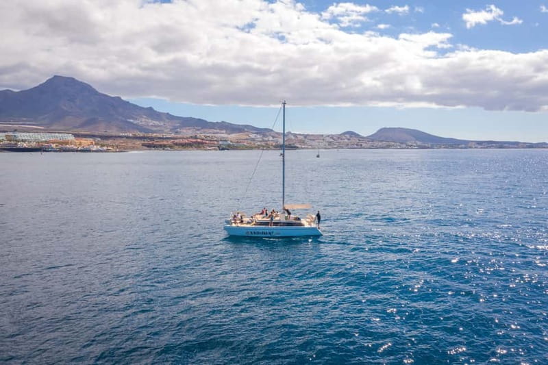 Costa Adeje: Private Catamaran Tour 22 Persons Max - Watching for whales and dolphins in Tenerife waters