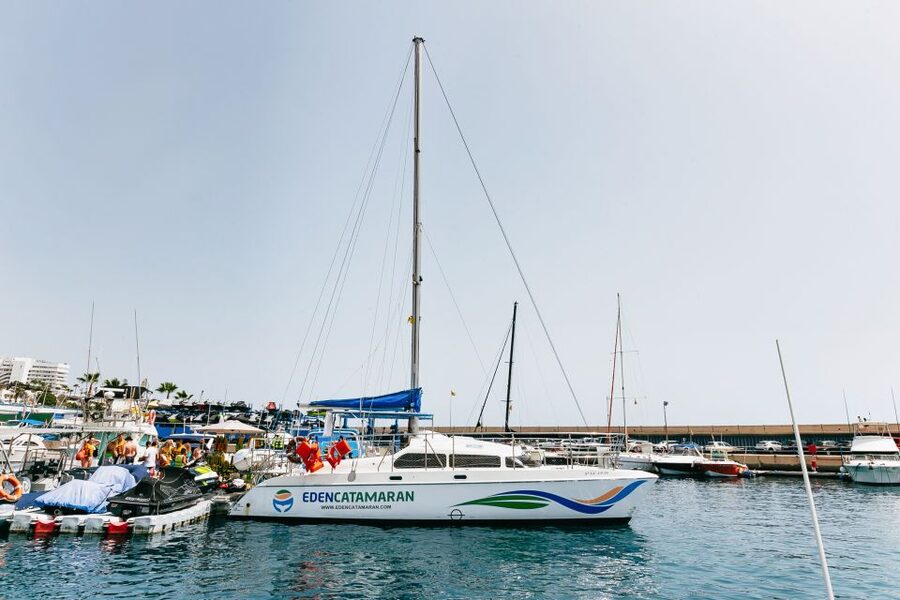 Costa Adeje: Whale Watching Catamaran Tour with Drinks - Choosing Between Two Hours and Three