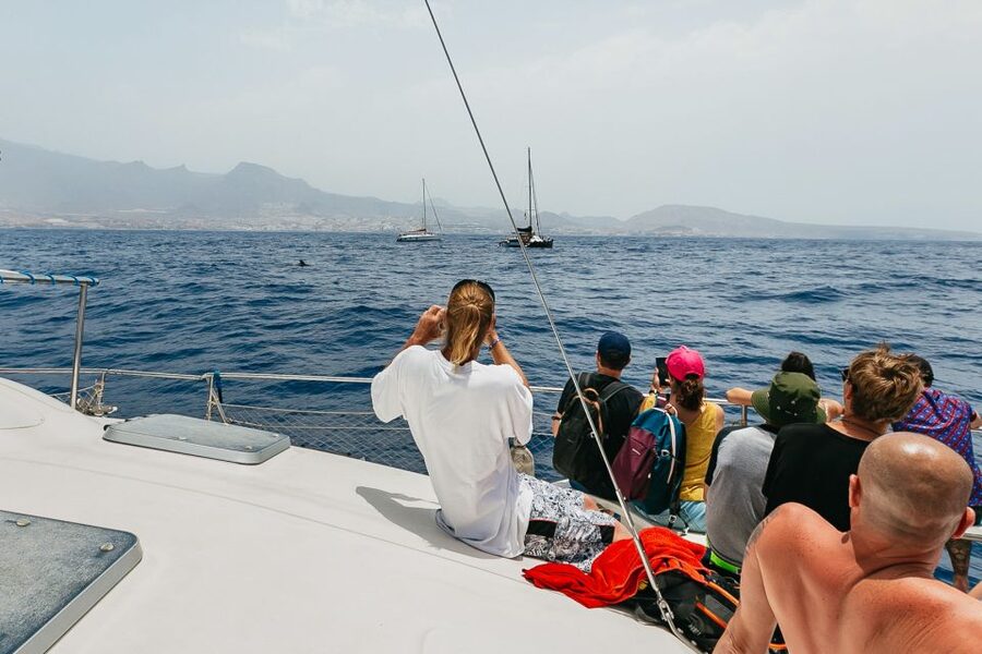 Costa Adeje: Whale Watching Catamaran Tour with Drinks - Who Will Enjoy This Catamaran Most?